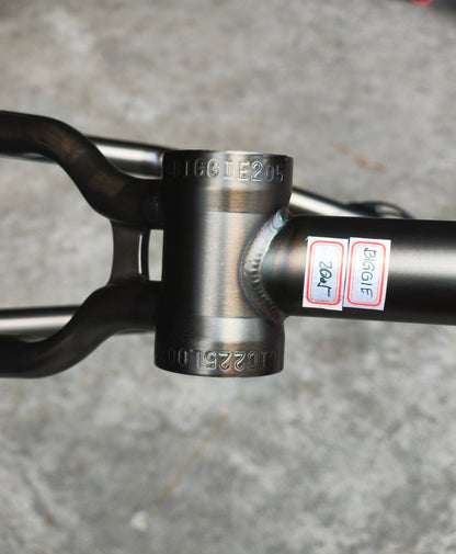 CULT BIGGIE IC2 FRAME – Devon Smillie Signature