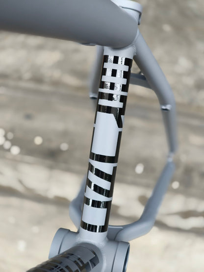 FEDERAL Bikes - BRUNO ICS2 FRAME – 20.6”
