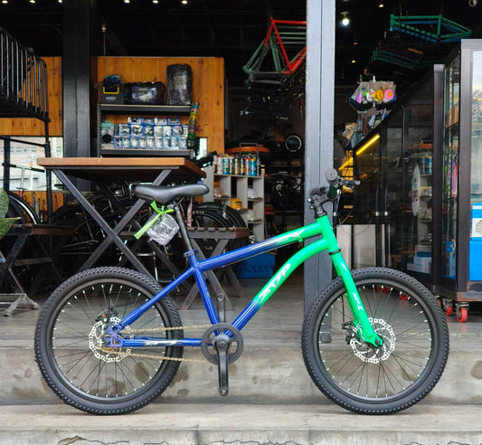 Mt Bike 20 AVP, Steel Frame