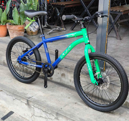 Mt Bike 20 AVP, Steel Frame