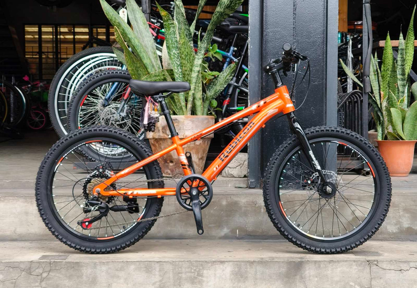 Z- Rubicon, Mt Bike 20 Copper