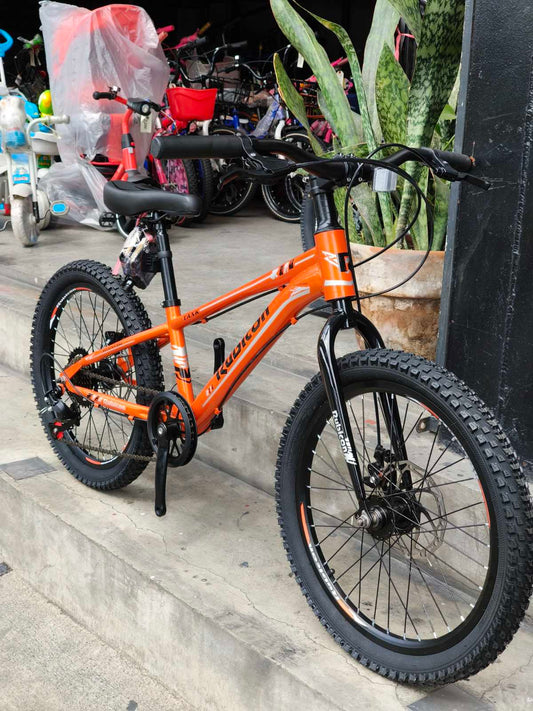 Z- Rubicon, Mt Bike 20 Copper