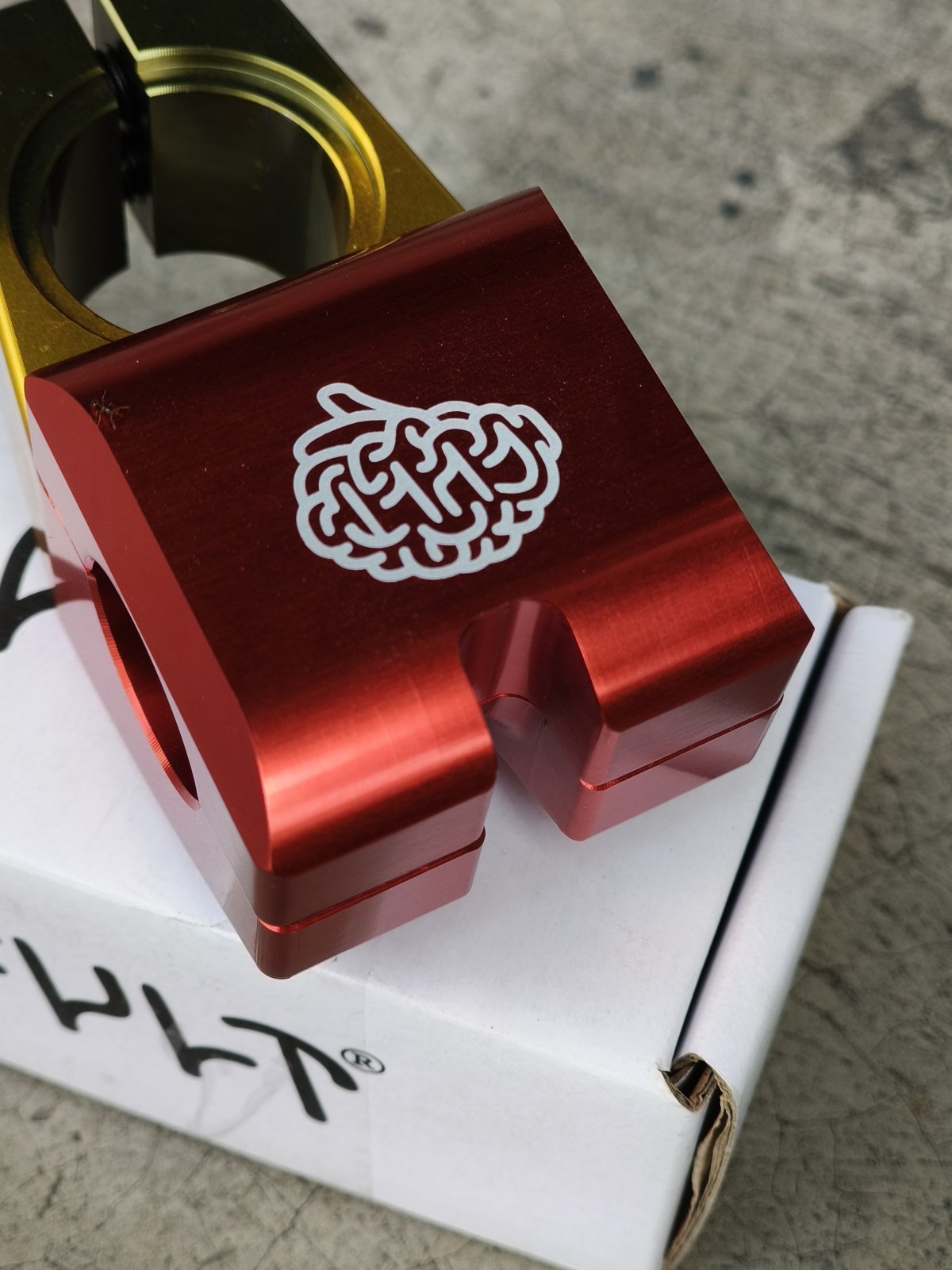 Cult, Max Vu Stem Rasta