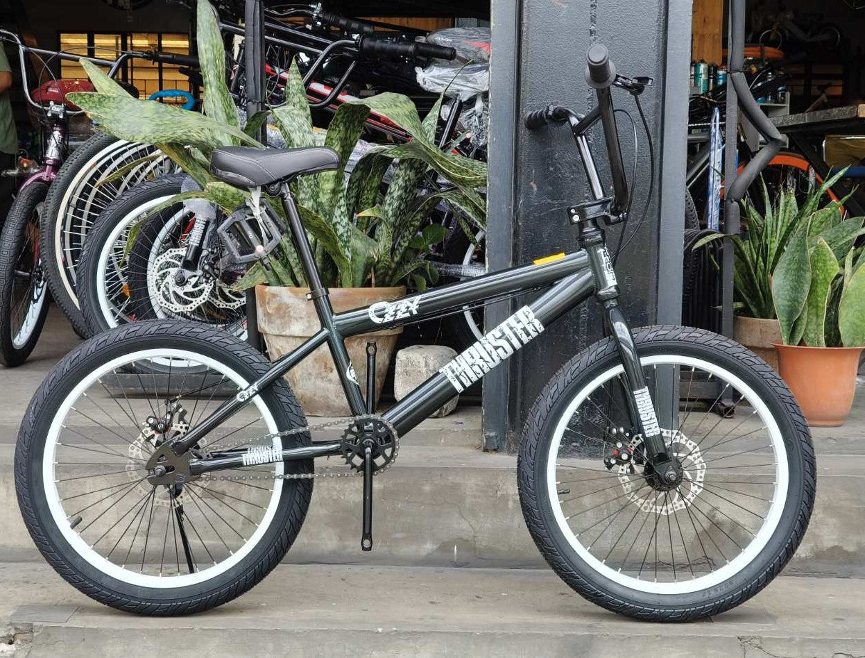Z- Bike 20 Ozzy Thruster Black