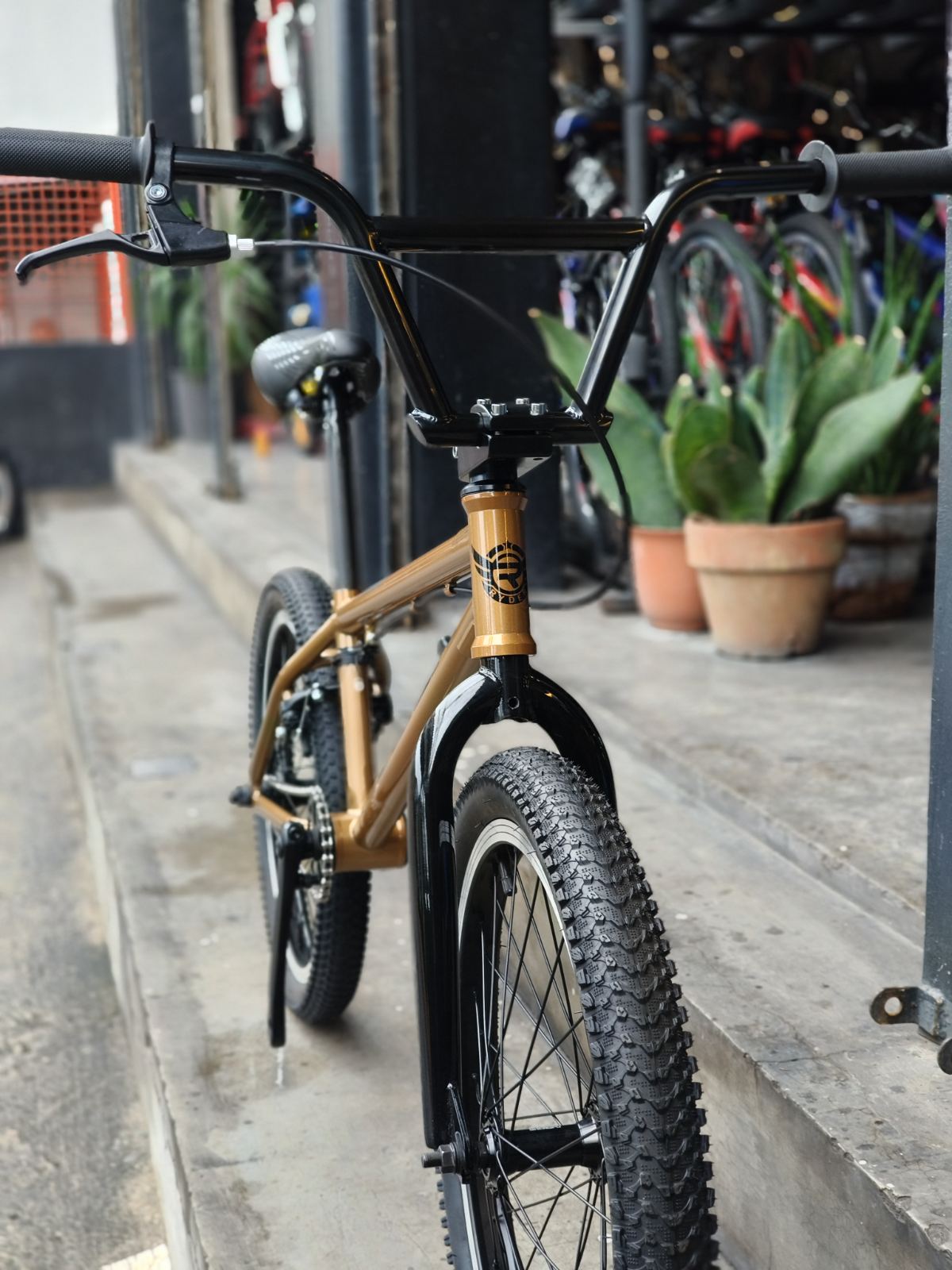 BIKE 20 RYDER AIRIX Copper