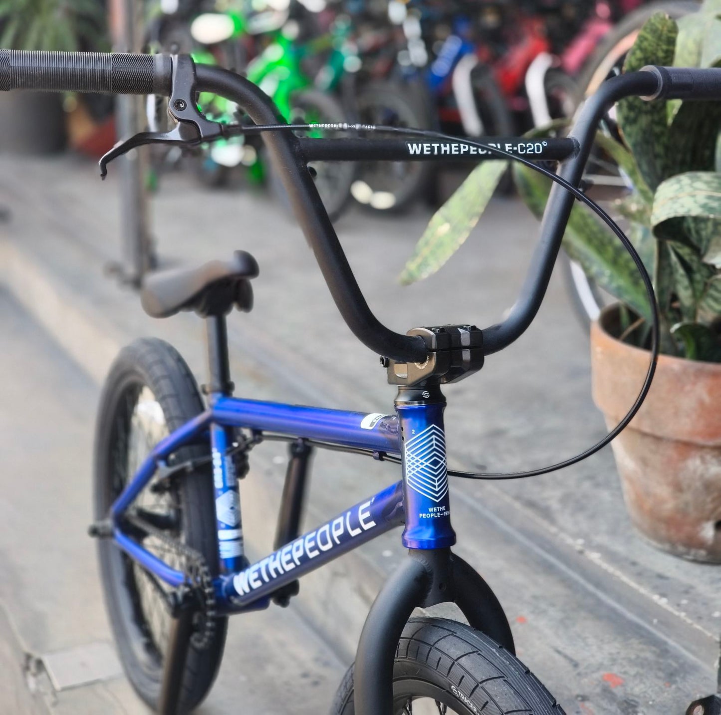 Wethepeople, CRS BMX 20", Translucent Blue