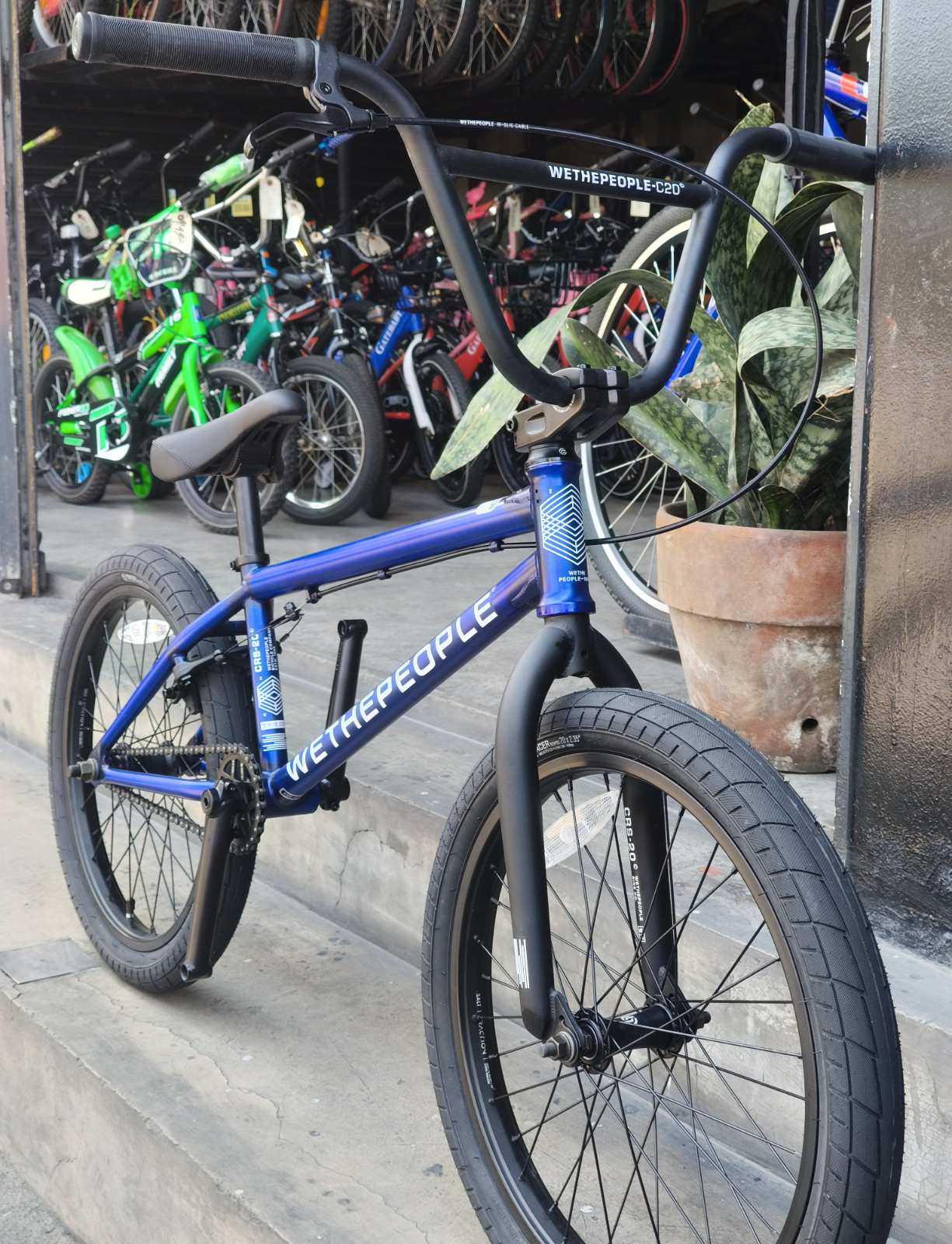 Wethepeople, CRS BMX 20", Translucent Blue